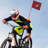 Arizona Coyotes NHL Bicycle Bike Rear Wheel Flag