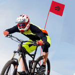 Toronto Raptors NBA Bicycle Bike Rear Wheel Flag